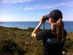 Sharon from IFAW assists the theodolite team with whale tracking